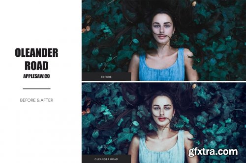 CreativeMarket - Oleander Road Lightroom Presets 5270591