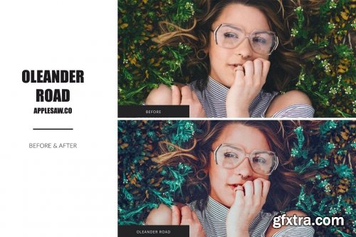 CreativeMarket - Oleander Road Lightroom Presets 5270591