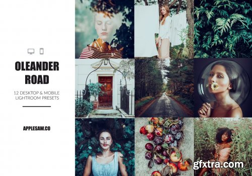 CreativeMarket - Oleander Road Lightroom Presets 5270591