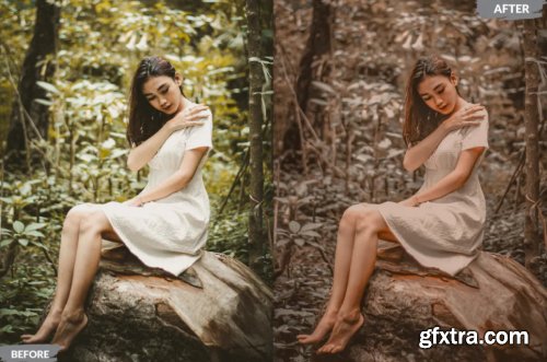 Hany Lightroom Presets Dekstop and Mobile