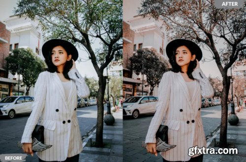 Haniya Lightroom Presets Dekstop and Mobile