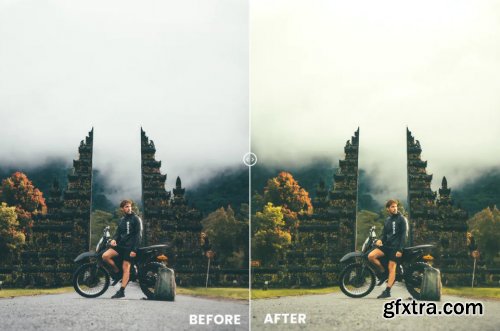 Moss Tone Action & Lightrom Presets