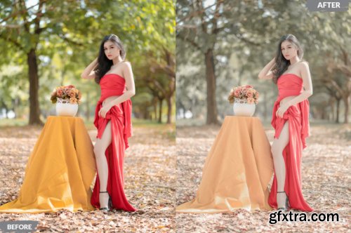 Hasita Lightroom Presets Dekstop and Mobile