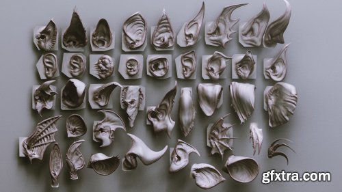 EARS - 40 ZBrush VDMs