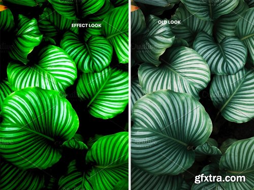 CreativeMarket - Green Color Photoshop Action 5953604