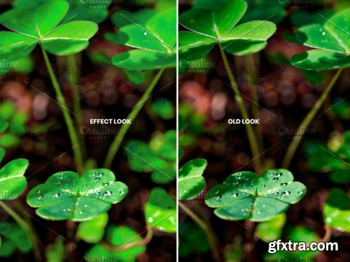 CreativeMarket - Green Color Photoshop Action 5953604