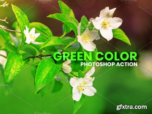 CreativeMarket - Green Color Photoshop Action 5953604