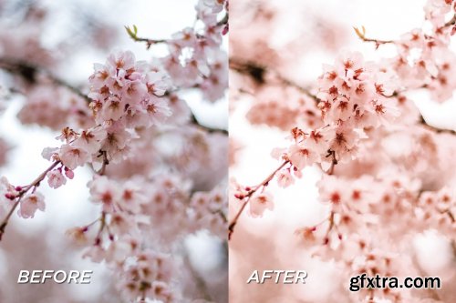 CreativeMarket - 5 Peach Lightroom Presets 5701433