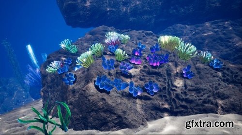 Ocean Environment Pack