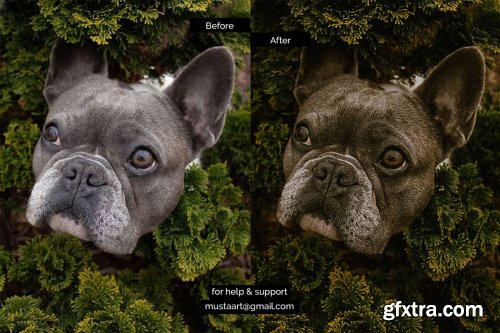 CreativeMarket - MustaART - Matrice - XMP Preset 5435733