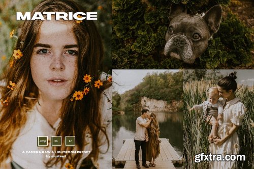 CreativeMarket - MustaART - Matrice - XMP Preset 5435733