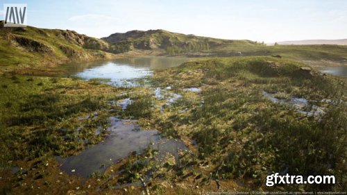 MW Meadow Wetlands Landscape 