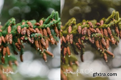 CreativeMarket - 15 Fall / Autumn Lightroom Presets 5499857