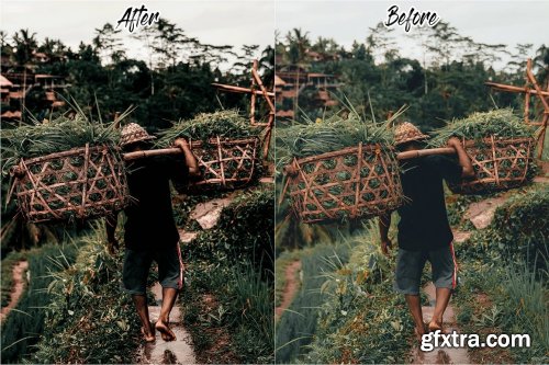 CreativeMarket - Bali Lightroom Presets 5337033