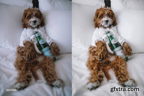 CreativeMarket - Lightroom Preset-Cute Dog Theme 4972692