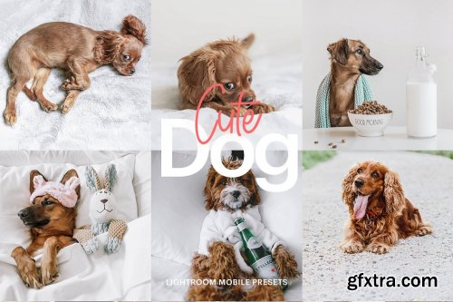 CreativeMarket - Lightroom Preset-Cute Dog Theme 4972692