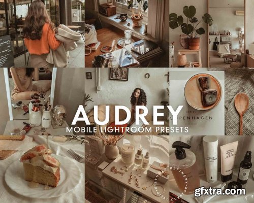 CreativeMarket - 5 AUDREY Mobile Lightroom Presets 5275673