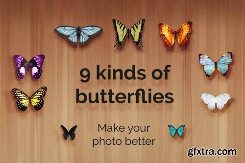 CreativeMarket - 52+ Butterflies Photo Overlays 6414950