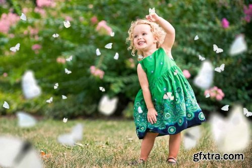 CreativeMarket - 52+ Butterflies Photo Overlays 6414950