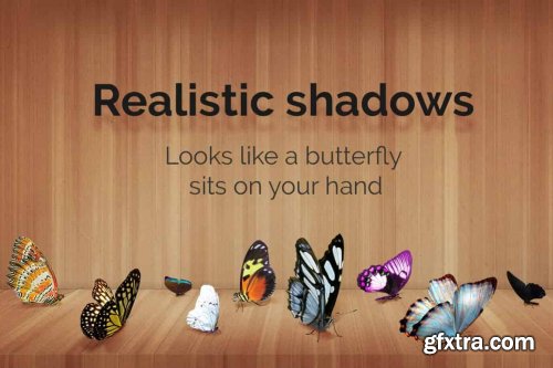 CreativeMarket - 52+ Butterflies Photo Overlays 6414950