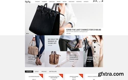 Big Bag v1.0 - Handbag Store OpenCart Template - TM 61311