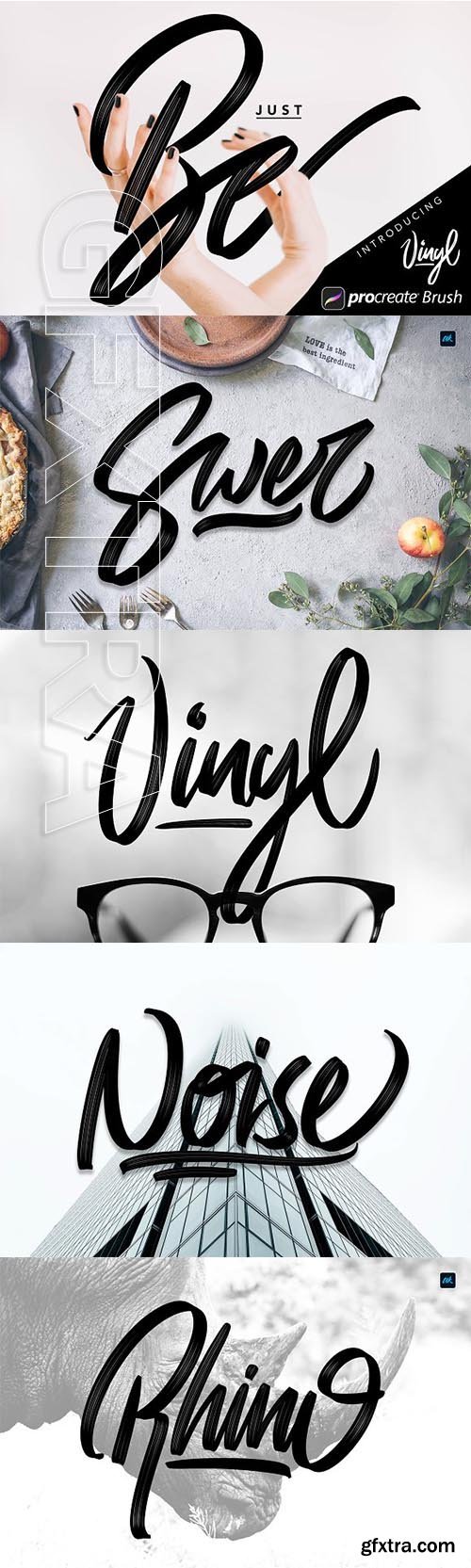 CreativeMarket - Vinyl Procreate Brush 2768357