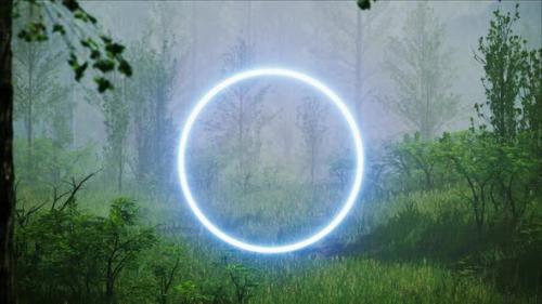 Videohive - Glowing Blue Circle Light in the Rainy Foggy Forest - 33662431 - 33662431