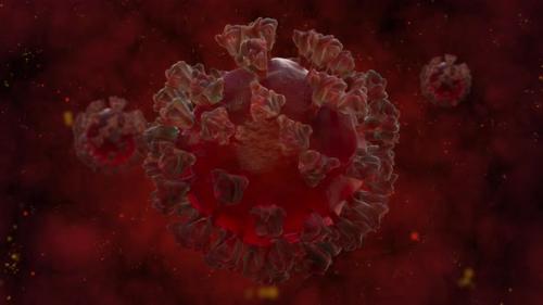 Videohive - COVID-19 Virus - 33663663 - 33663663