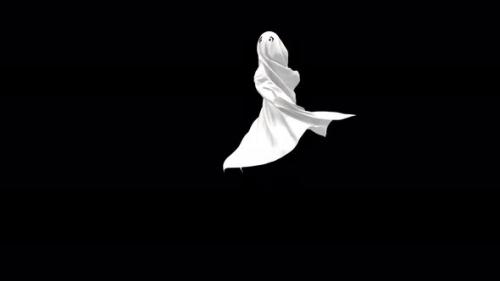 Videohive - 50 Ghost Halloween Dancing 4K - 33670529 - 33670529