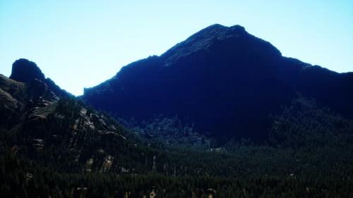 Videohive - Panorama of Cone Forest at Mountains - 33675107 - 33675107