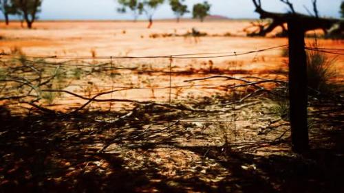 Videohive - Pampas with Barbed Wire Fence and Dry Bushes - 33675179 - 33675179