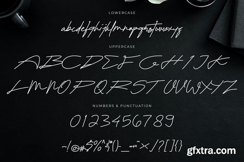 Balfontheim Signature - Monoline Signature Font