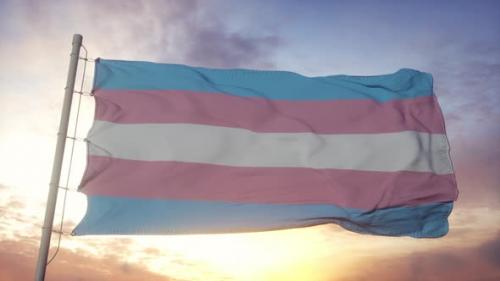 Videohive - Transgender Pride Flag Waving in the Wind Sky and Sun Background - 33710301 - 33710301