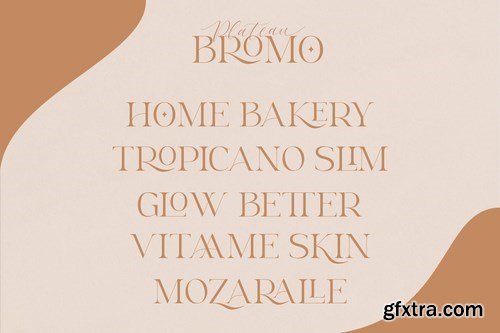 Bromo Plateau Duo Font