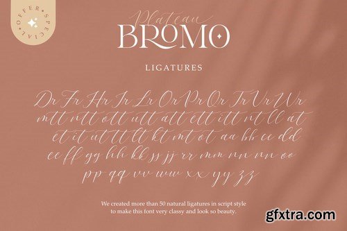 Bromo Plateau Duo Font