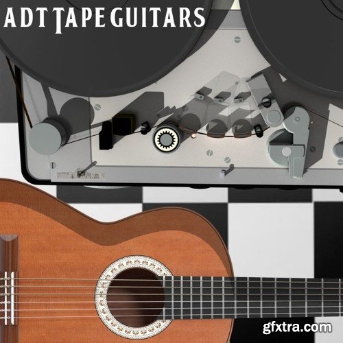 Past To Future Samples ADT Guitars WAV