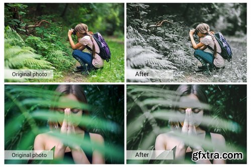 CreativeMarket - Dramatic Forest Presets 5689538