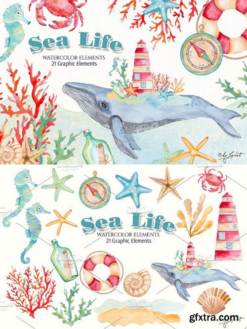 Sea Life Watercolor