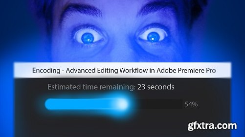 Video Optimization in Adobe Premiere Pro: Creating a Smooth Editing Experience