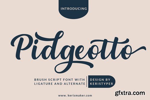 Pidgeotto Font