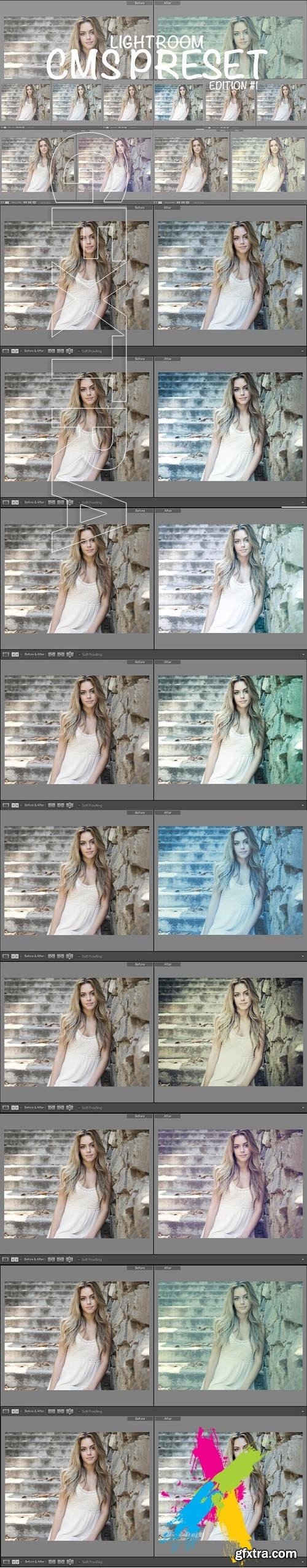 CreativeMarket -  Cinematic Lightroom Preset By Cmsvec 1719453