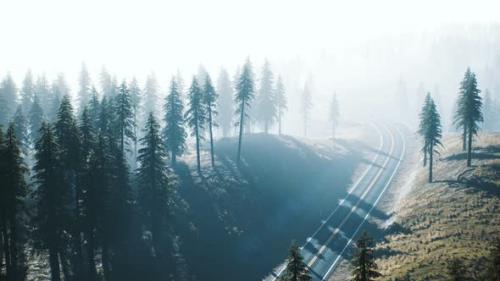 Videohive - Road Through the Russian Taiga Forest From Aerial View - 33799397 - 33799397