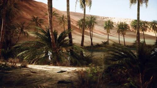 Videohive - Oasis in Hot Sahara Desert - 33711313 - 33711313