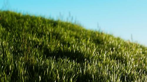 Videohive - Green Fresh Grass As a Nice Background - 33711358 - 33711358