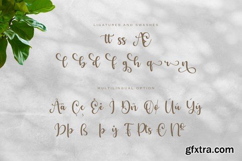 Benedicta- A Modern Calligraphy Font