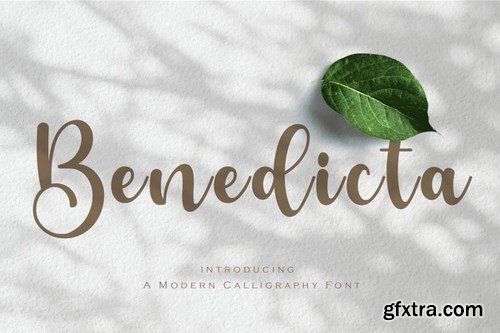 Benedicta- A Modern Calligraphy Font