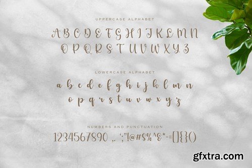 Benedicta- A Modern Calligraphy Font