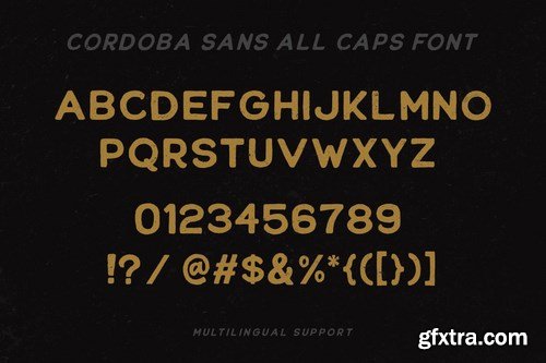 Foresight Font