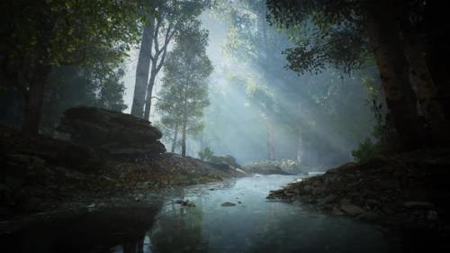 Videohive - Calm River in a Forest looped HD - 33720416 - 33720416