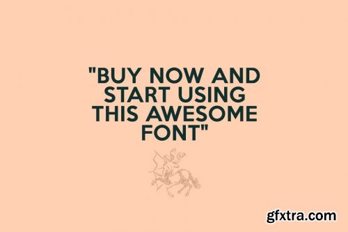 CreativeMarket - Archer - Minimal Sans Serif 3764857